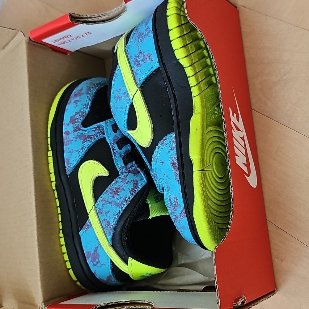 Kids Nike Sneakers Size 6C - Blue and Green NIKE DUNK LOW SE 2 (TDE) in Box